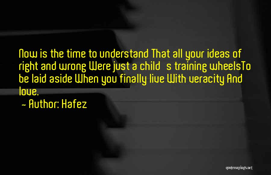 Training Up A Child Quotes By Hafez