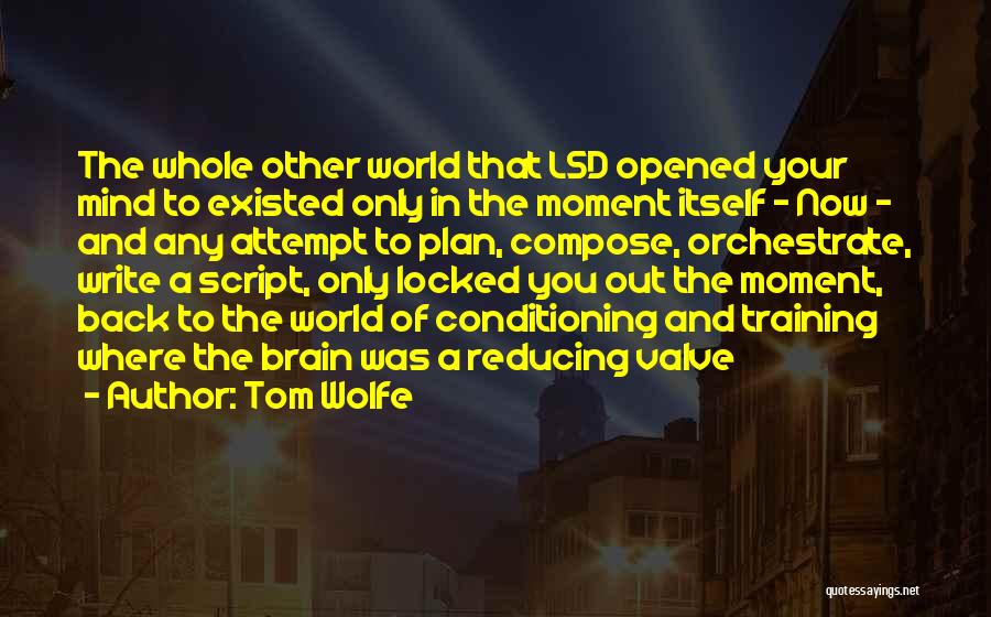 Training Your Mind Quotes By Tom Wolfe