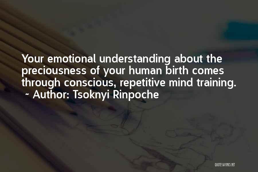 Training Your Mind Quotes By Tsoknyi Rinpoche