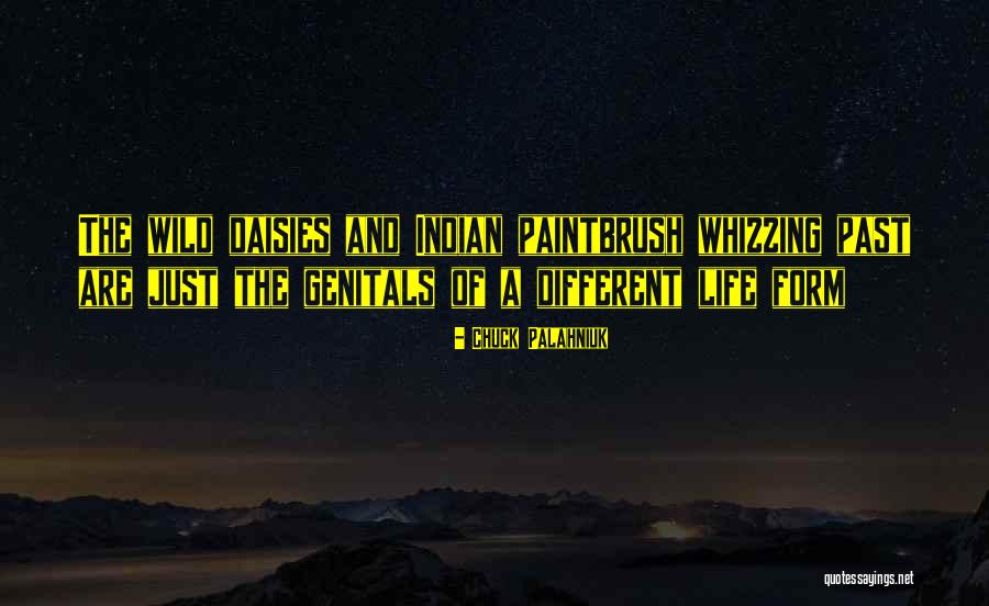 Traistariu Varsta Quotes By Chuck Palahniuk Traistariu Varsta Quotes By Chuck Palahniuk