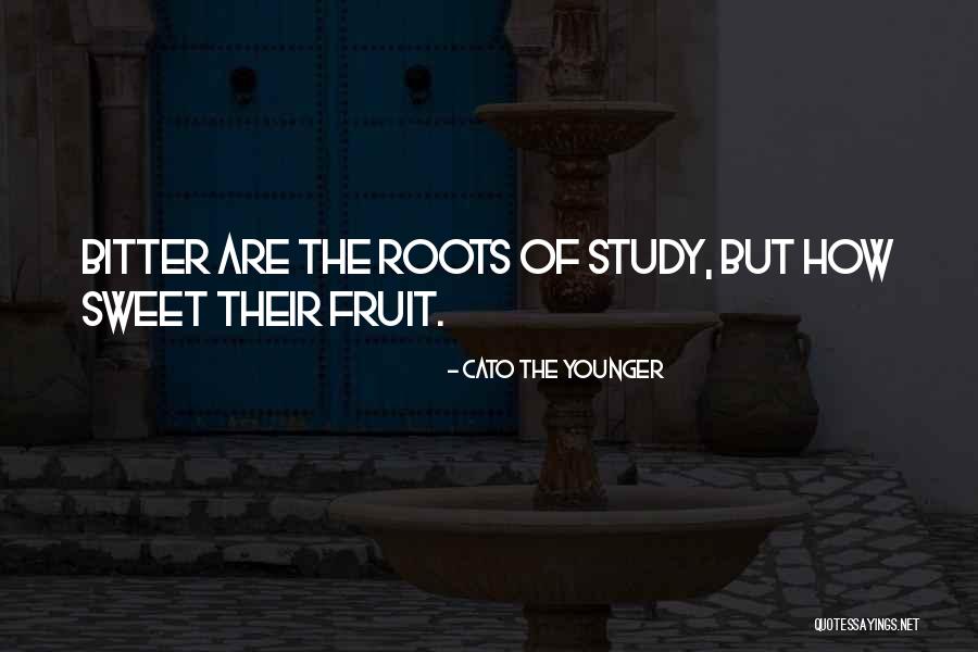 Trajans Bridge Quotes By Cato The Younger Trajans Bridge Quotes By Cato The Younger