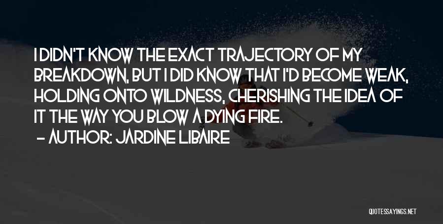 Trajectory Quotes By Jardine Libaire