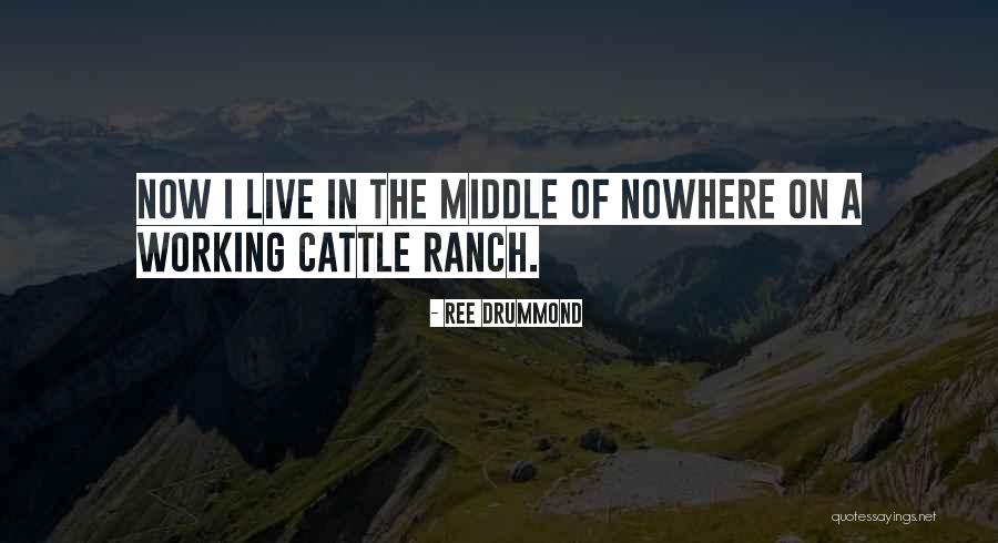 Trajeto Do Sangue Quotes By Ree Drummond Trajeto Do Sangue Quotes By Ree Drummond