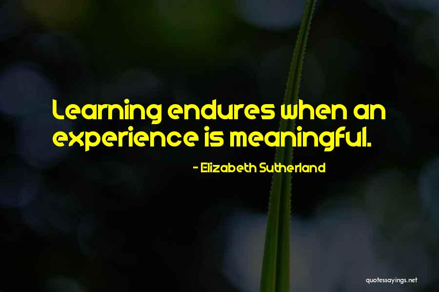 Trajiste Conjugation Quotes By Elizabeth Sutherland Trajiste Conjugation Quotes By Elizabeth Sutherland