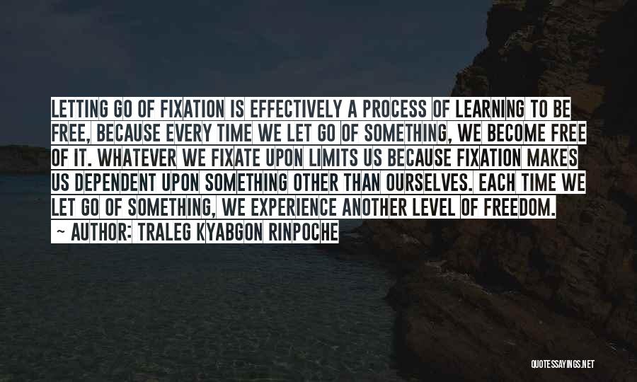 Traleg Kyabgon Rinpoche Quotes 349651