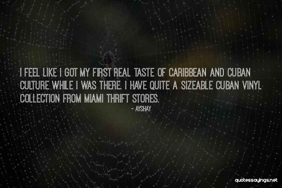 Trampa Para Quotes By Ayshay Trampa Para Quotes By Ayshay