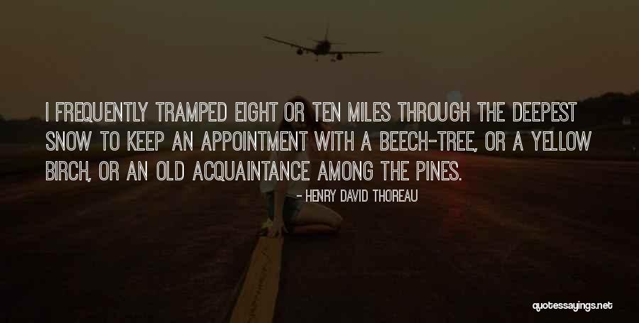 Tramped Quotes By Henry David Thoreau Tramped Quotes By Henry David Thoreau