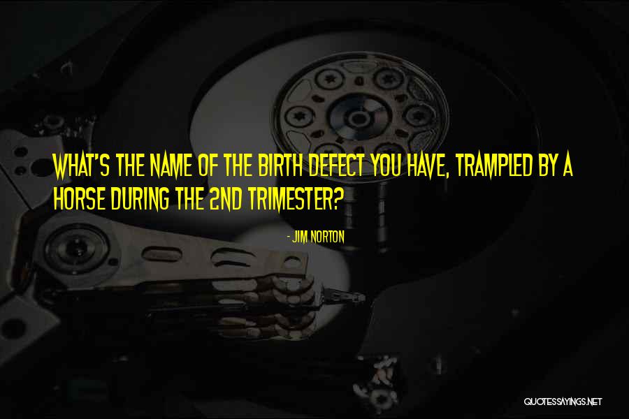Trampled Quotes By Jim Norton Trampled Quotes By Jim Norton