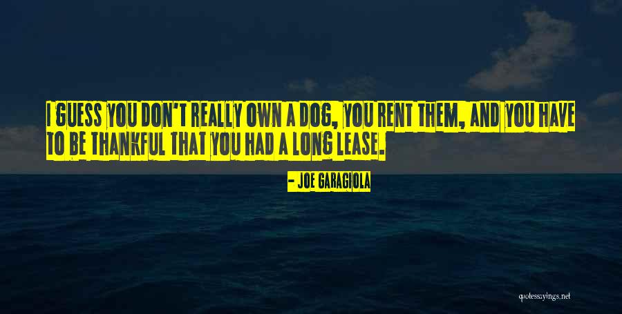 Trampling Out The Vintage Quotes By Joe Garagiola Trampling Out The Vintage Quotes By Joe Garagiola