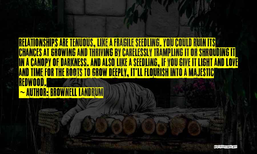 Trampling Quotes By Brownell Landrum