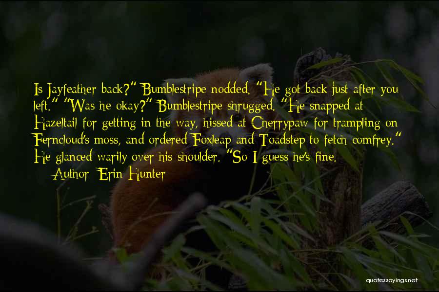 Trampling Quotes By Erin Hunter