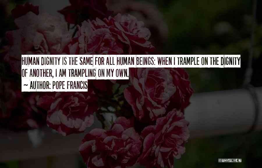 Trampling Quotes By Pope Francis