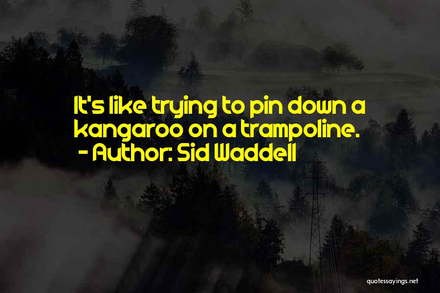 Trampoline Quotes By Sid Waddell