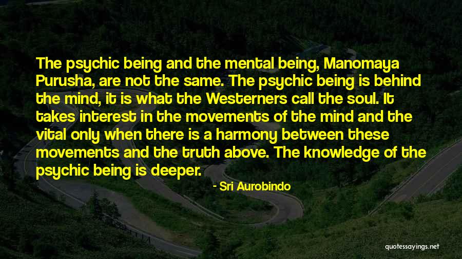 Tran Dang Xuan Quotes By Sri Aurobindo Tran Dang Xuan Quotes By Sri Aurobindo