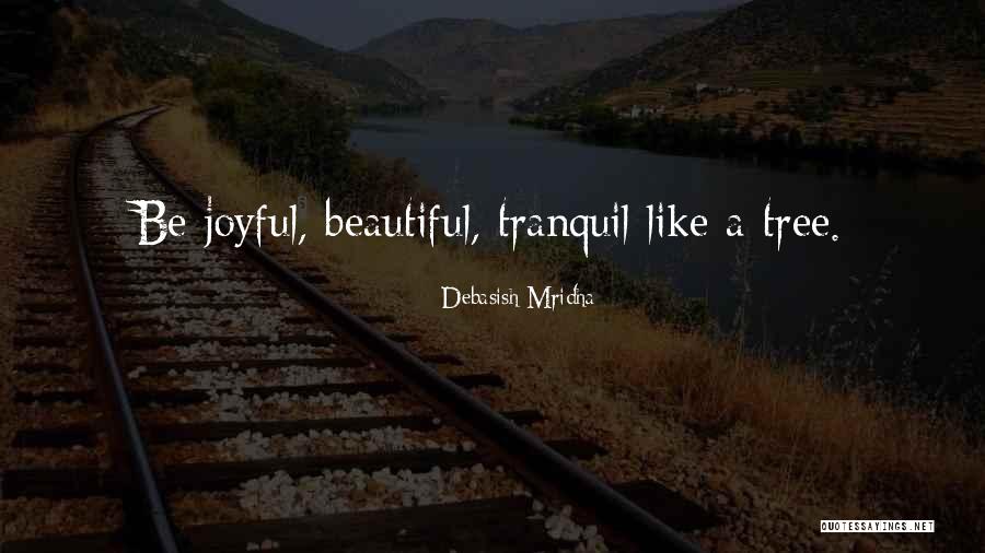 Tranquil Inspirational Quotes By Debasish Mridha