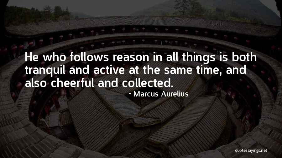 Tranquil Quotes By Marcus Aurelius Tranquil Quotes By Marcus Aurelius