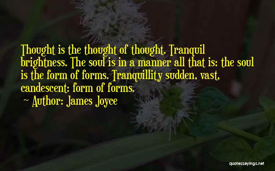 Tranquil Soul Quotes By James Joyce