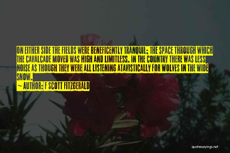 Tranquil Space Quotes By F Scott Fitzgerald