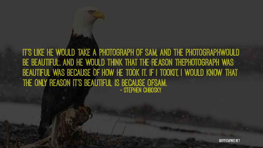 Tranquilidad Sinonimos Quotes By Stephen Chbosky Tranquilidad Sinonimos Quotes By Stephen Chbosky