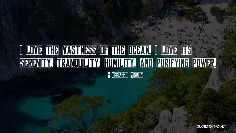 Tranquility And Love Quotes By Debasish Mridha Tranquility And Love Quotes By Debasish Mridha