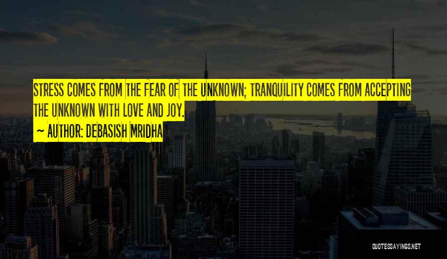 Tranquility Quotes By Debasish Mridha