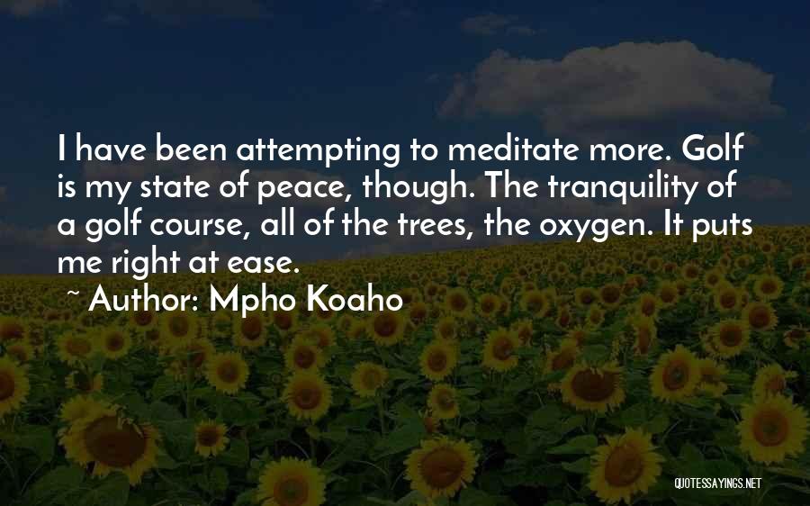 Tranquility Quotes By Mpho Koaho