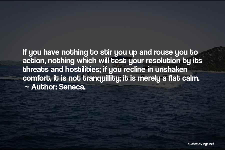 Tranquillity Quotes By Seneca.