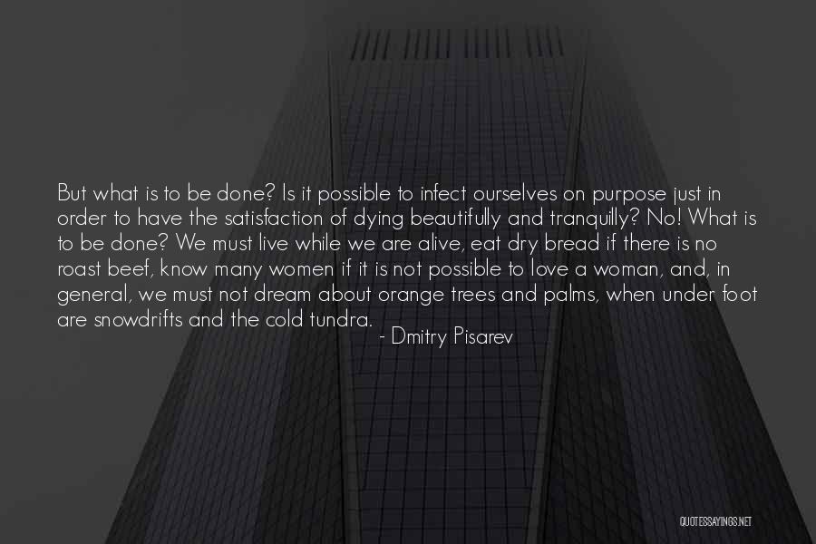 Tranquilly Quotes By Dmitry Pisarev Tranquilly Quotes By Dmitry Pisarev