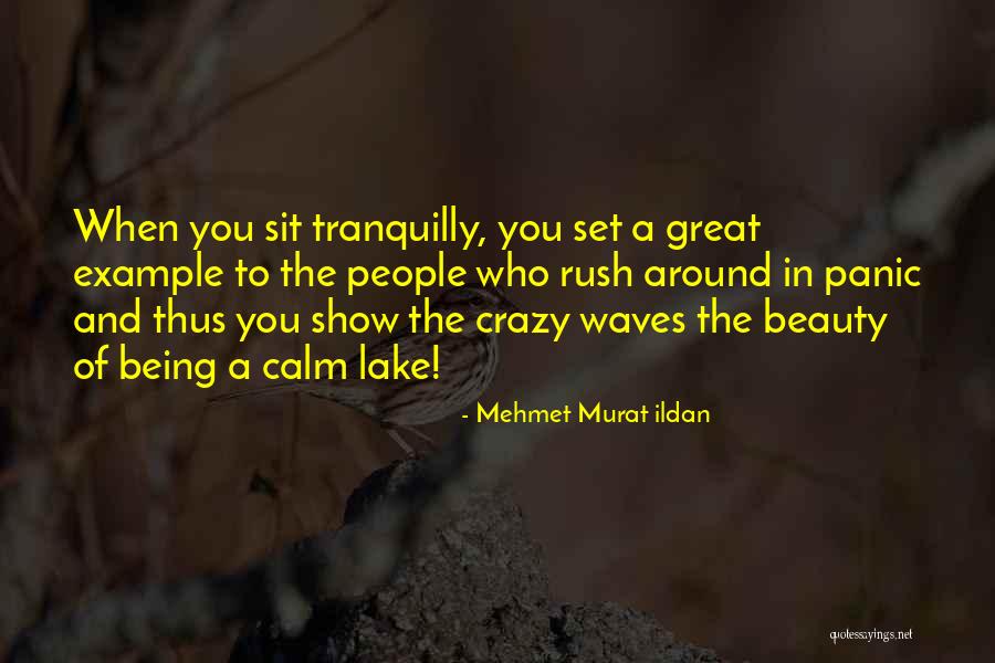 Tranquilly Quotes By Mehmet Murat Ildan Tranquilly Quotes By Mehmet Murat Ildan
