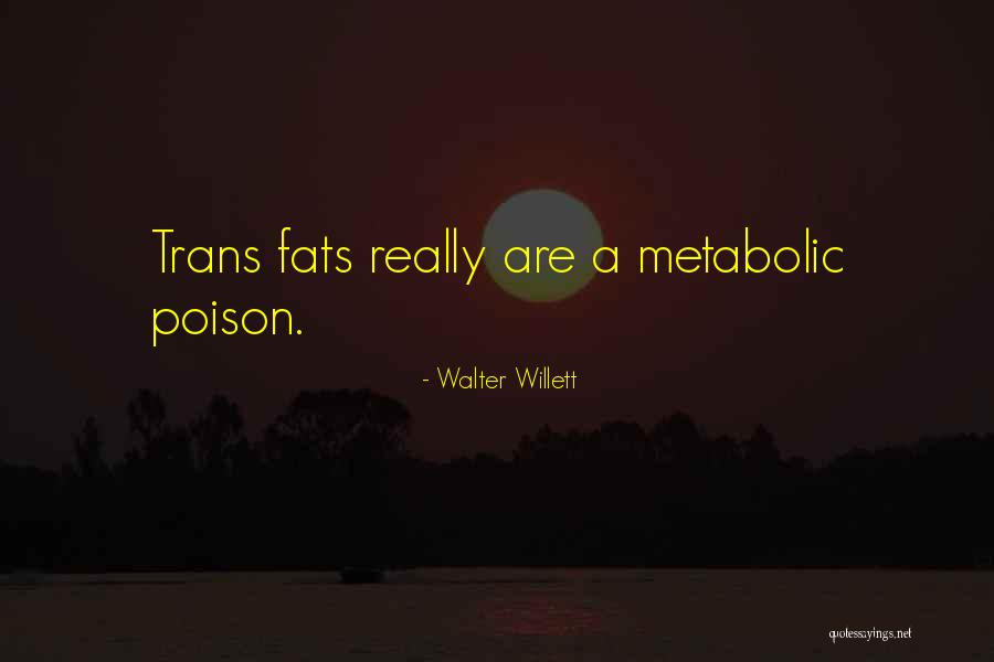 Trans Fats Quotes By Walter Willett Trans Fats Quotes By Walter Willett