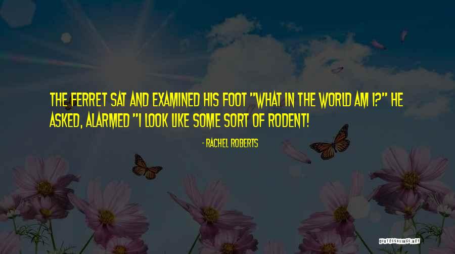 Trans People In History Quotes By Rachel Roberts Trans People In History Quotes By Rachel Roberts