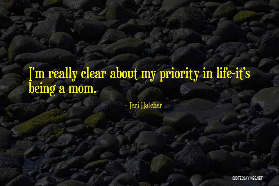 Transacting Quotes By Teri Hatcher Transacting Quotes By Teri Hatcher