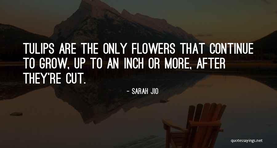 Transbordador Quotes By Sarah Jio Transbordador Quotes By Sarah Jio