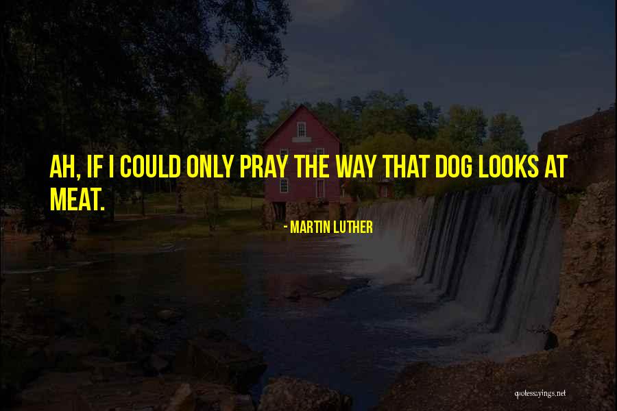 Transbordar El Quotes By Martin Luther Transbordar El Quotes By Martin Luther