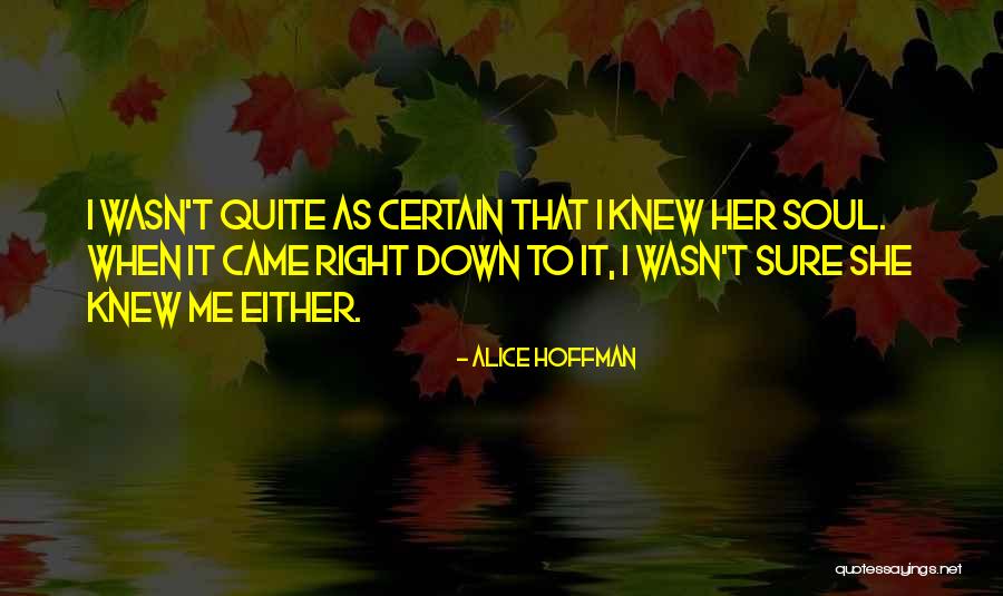 Transbordar Quotes By Alice Hoffman Transbordar Quotes By Alice Hoffman