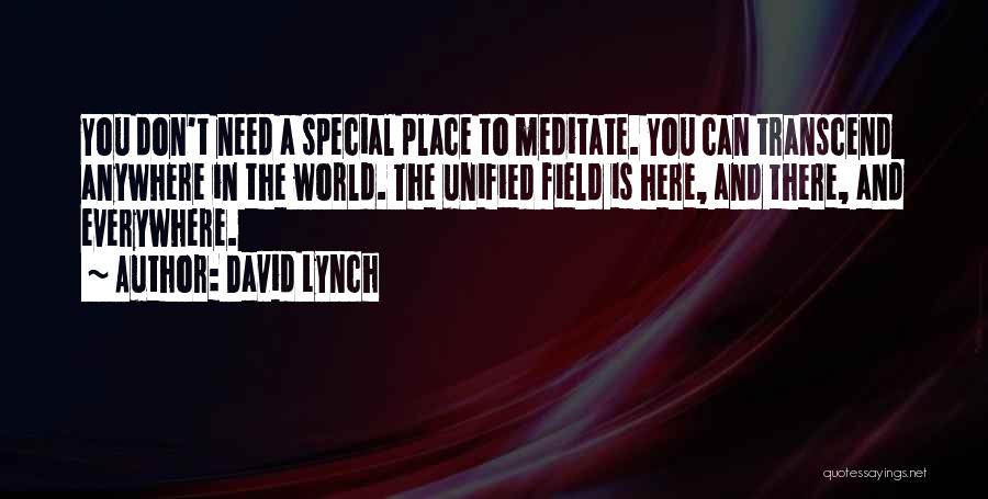 Transcend Quotes By David Lynch