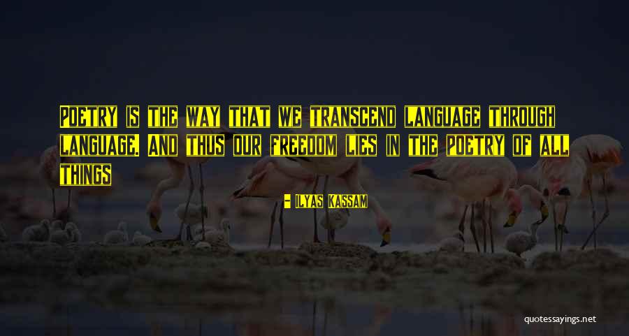 Transcendance Quotes By Ilyas Kassam Transcendance Quotes By Ilyas Kassam