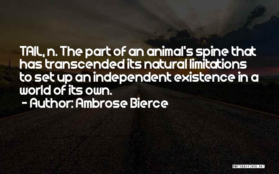 Transcended Quotes By Ambrose Bierce