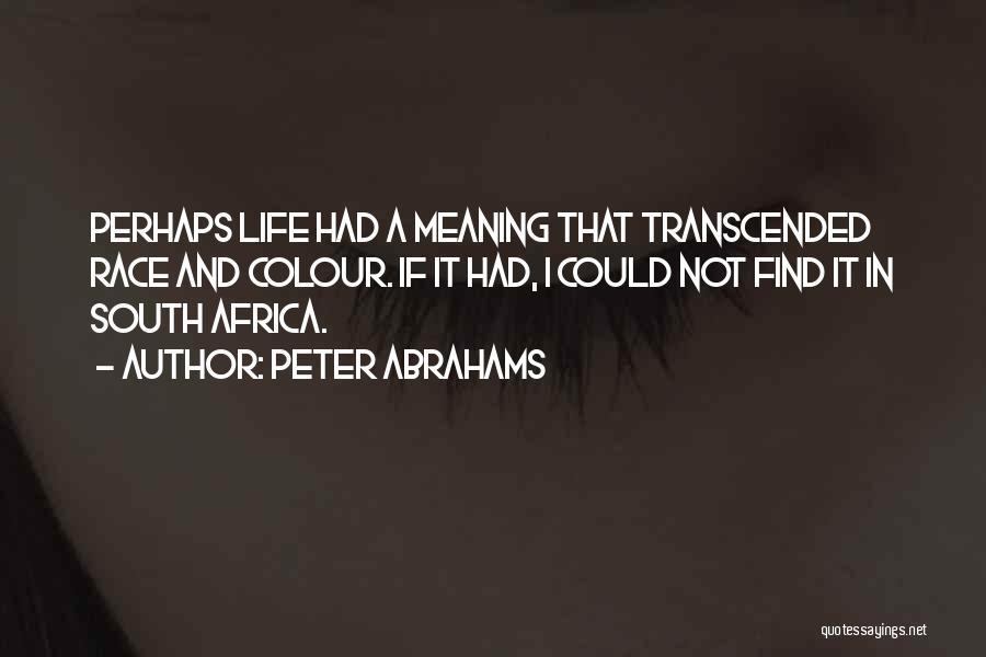 Transcended Quotes By Peter Abrahams