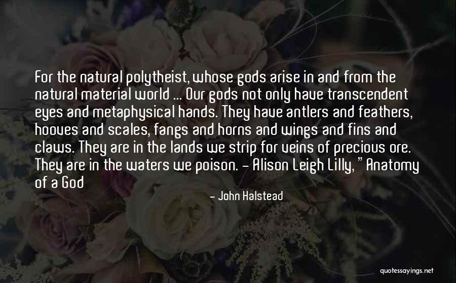 Transcendent God Quotes By John Halstead Transcendent God Quotes By John Halstead