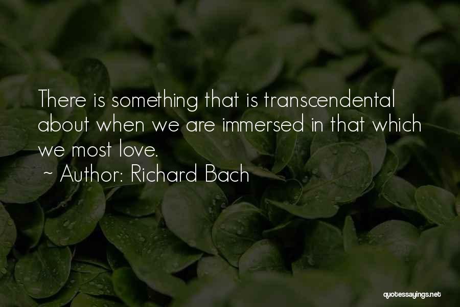 Transcendental Quotes By Richard Bach