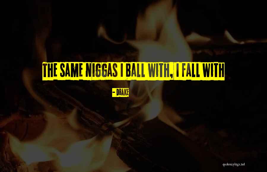 Transcendentals Quotes By Drake Transcendentals Quotes By Drake