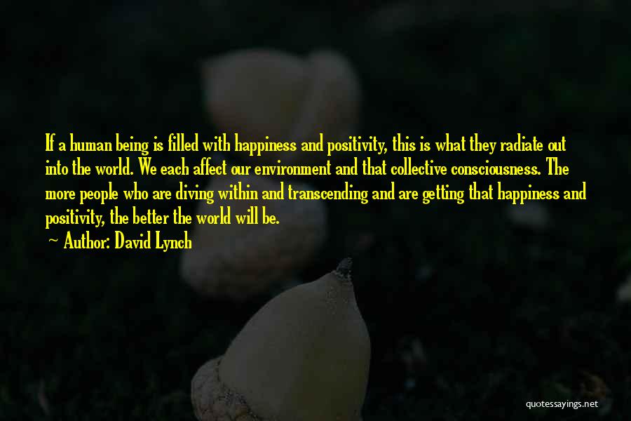 Transcending Quotes By David Lynch
