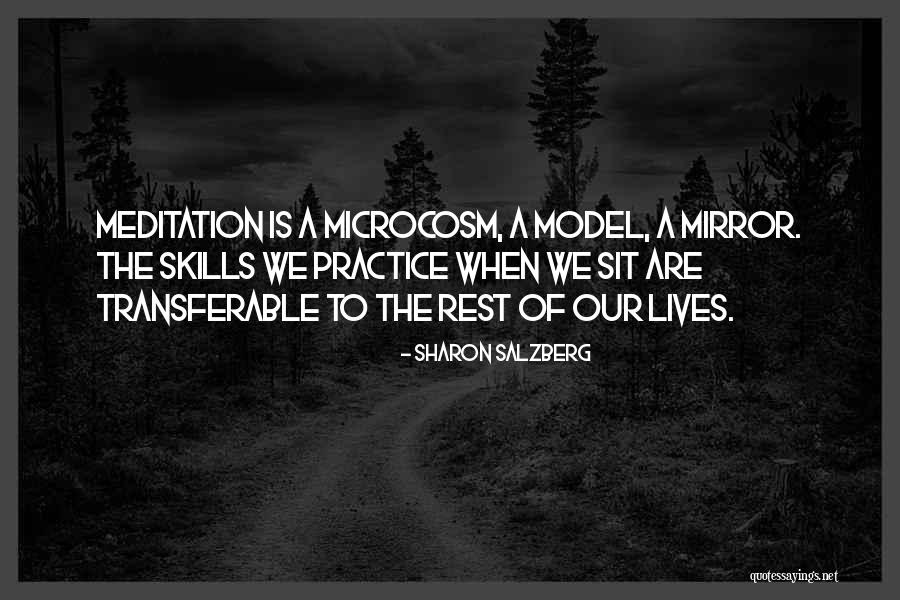 Transferable Quotes By Sharon Salzberg