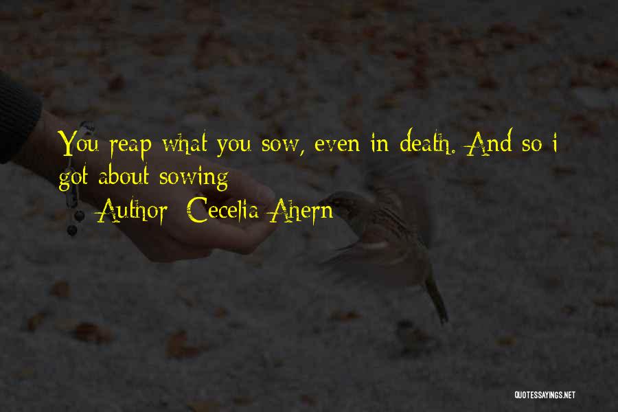 Transferee Student Quotes By Cecelia Ahern