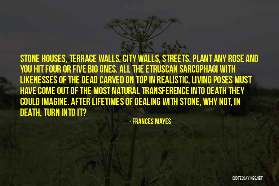 Transference Quotes By Frances Mayes