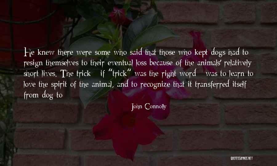 Transferred Quotes By John Connolly