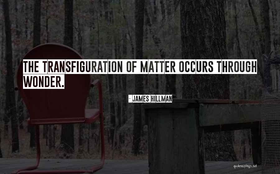 Transfiguration Quotes By James Hillman Transfiguration Quotes By James Hillman