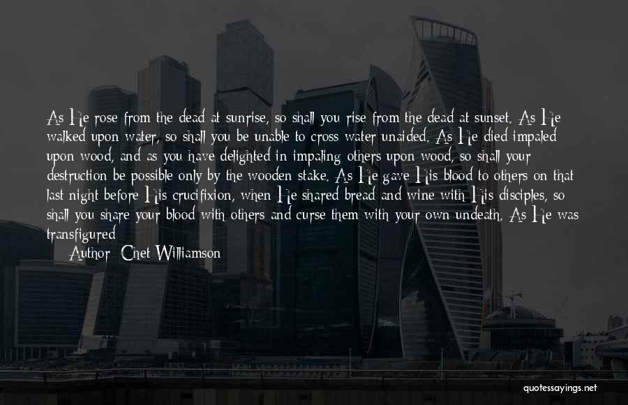 Transfigure Quotes By Chet Williamson