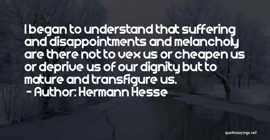 Transfigure Quotes By Hermann Hesse